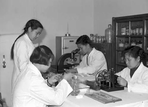 医疗系胚胎学青年教师进行科学研究。(<a target='_blank' href='http://www.chinanews.com/'>中新社</a> 陈一能 摄) 医疗系胚胎学青年教师进行科学研究。(<a target='_blank' href='http://www.chinanews.com/'>中新社</a> 陈一能 摄)