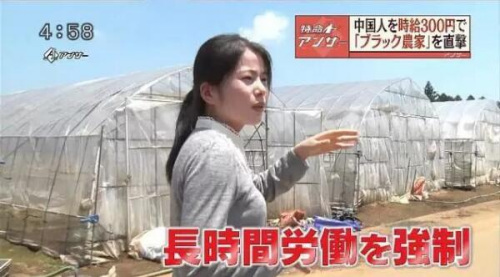 日本关于研修生境况的电视节目截屏 日本关于研修生境况的电视节目截屏
