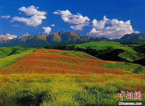 中国侨网郝沛 摄