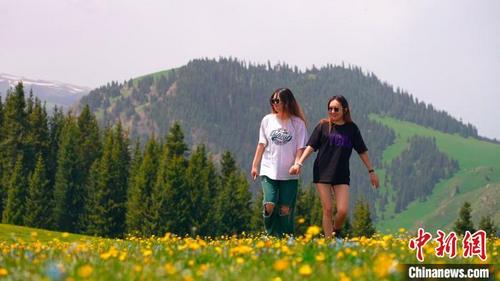 中国侨网草原花开成海,引来八方游客。 巴特那生 摄