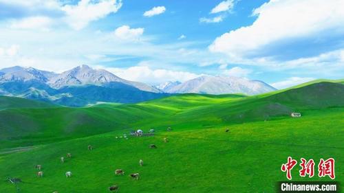 中国侨网起伏和缓的草原。 昭苏县融媒体中心供图